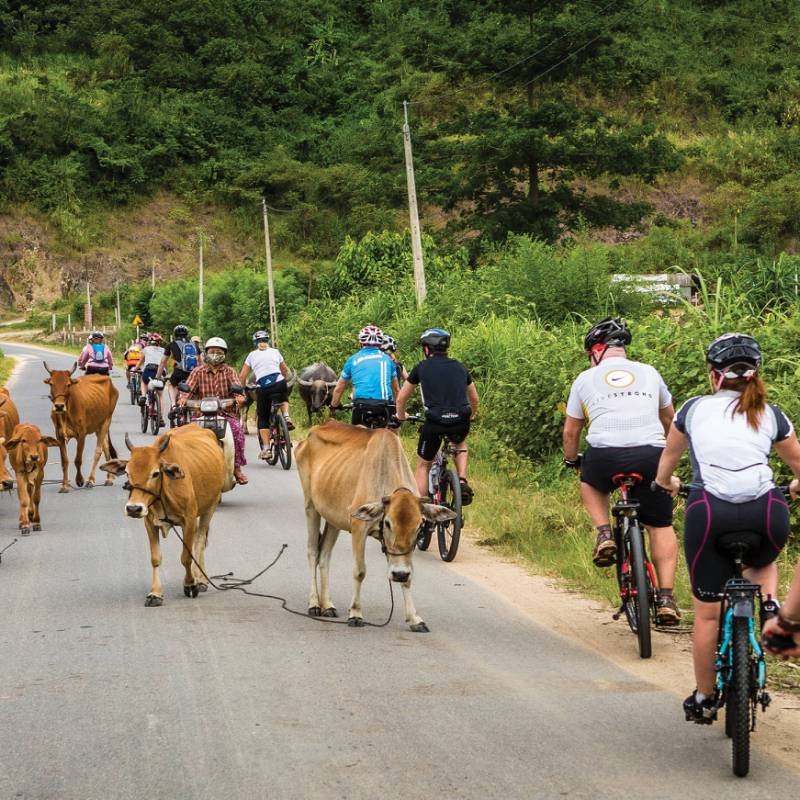 Vietnam Cycling Trip: Your Comprehensive Guide to an Epic Two-Wheeled Adventure